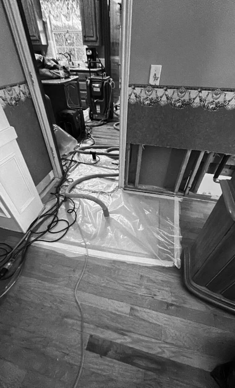 IMG 6430 bw 6 768x1268