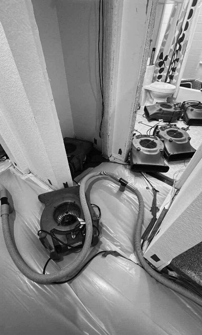 IMG 6433 bw 7 768x1270