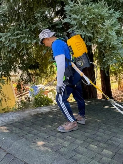 Soft Washing and Pressure Washing near me in Santa Rosa CA 1.jpg