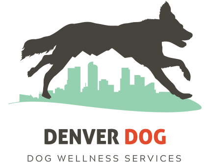 imgi 37 Denver Dog Logo
