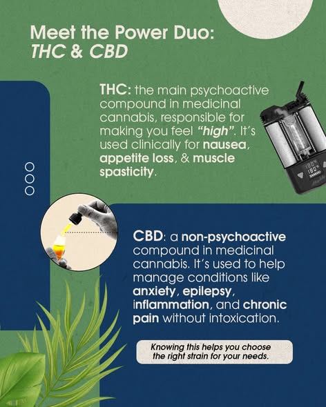 506241219 723806770154985 4770779311453560774 n