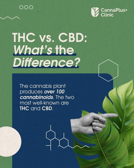 506833040 723806540155008 4232790019031147610 n