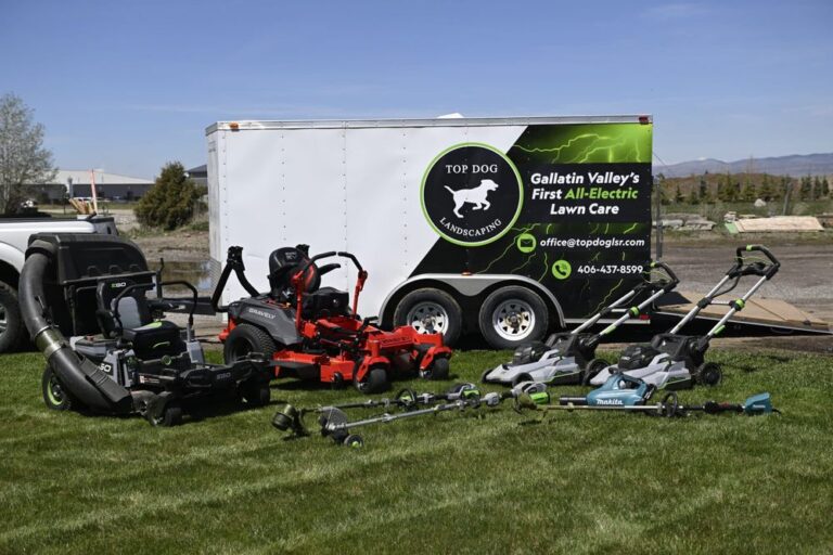 image 69bd82835c7cd75eb89a300a 768x512